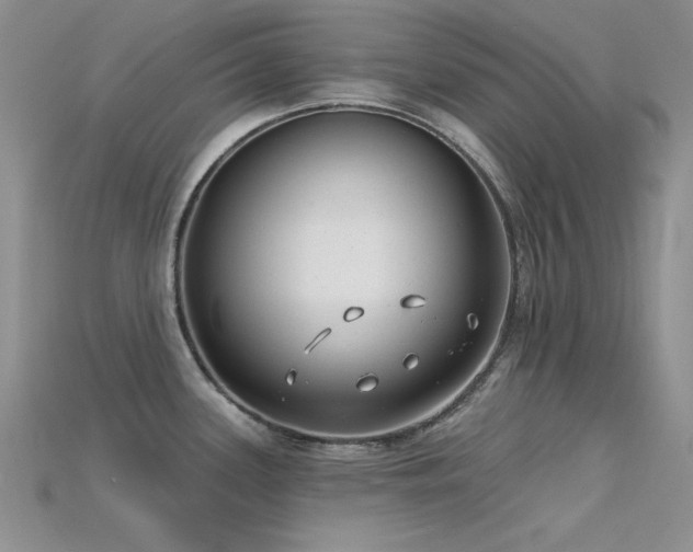 X0000115771339200911131209