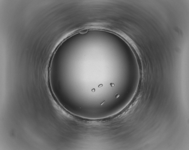 X0000115771341200911131209