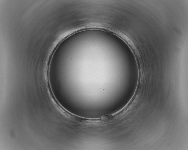 X0000115771342200911131209