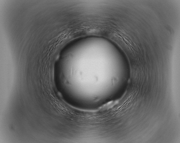 X0000115771345200911131208