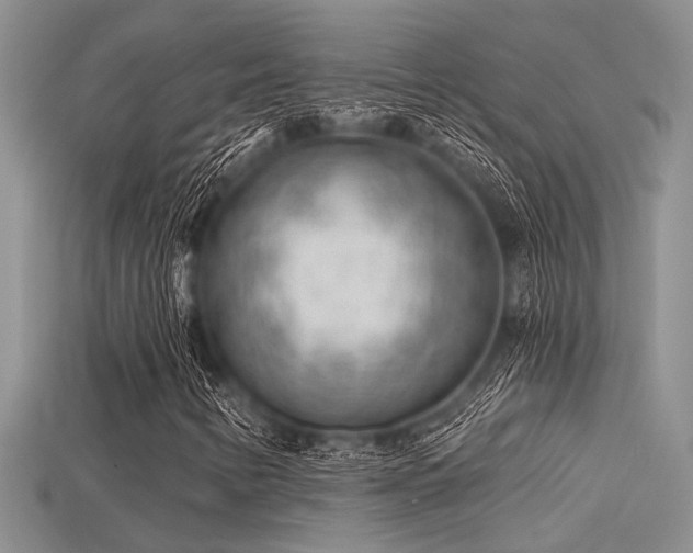 X0000115771346200911131208