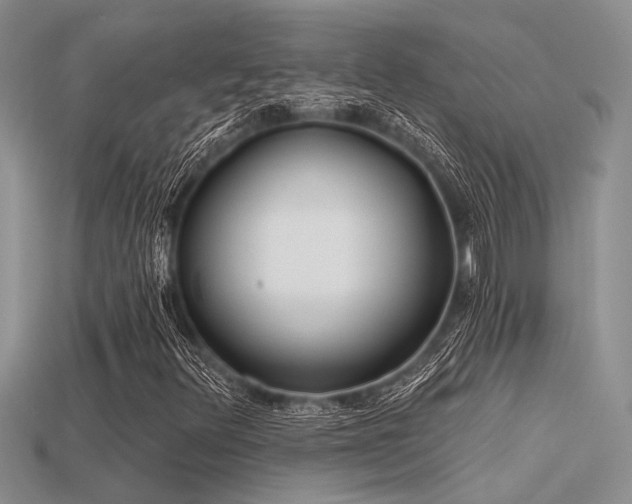 X0000115771348200911131208
