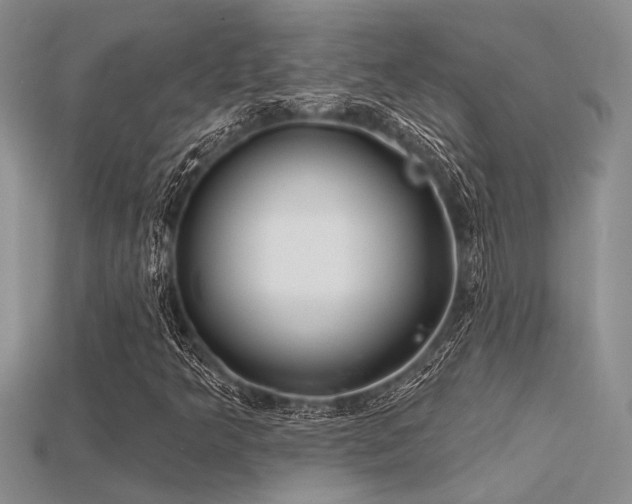X0000115771349200911131208