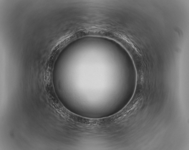 X0000115771350200911131208
