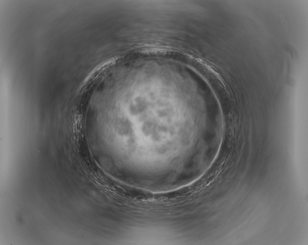 X0000115771351200911131208