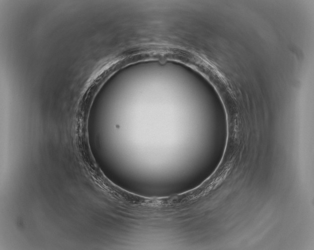 X0000115771352200911131208