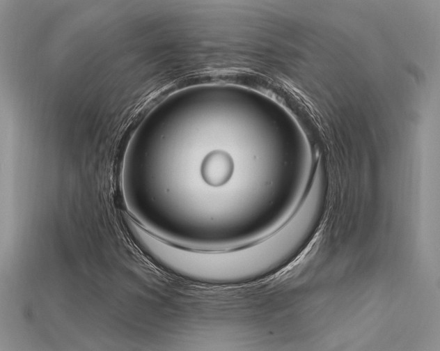 X0000115771353200911131208