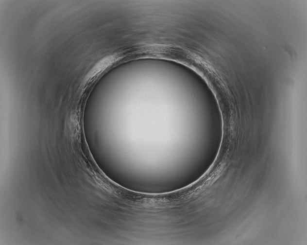 X0000115771354200911131208