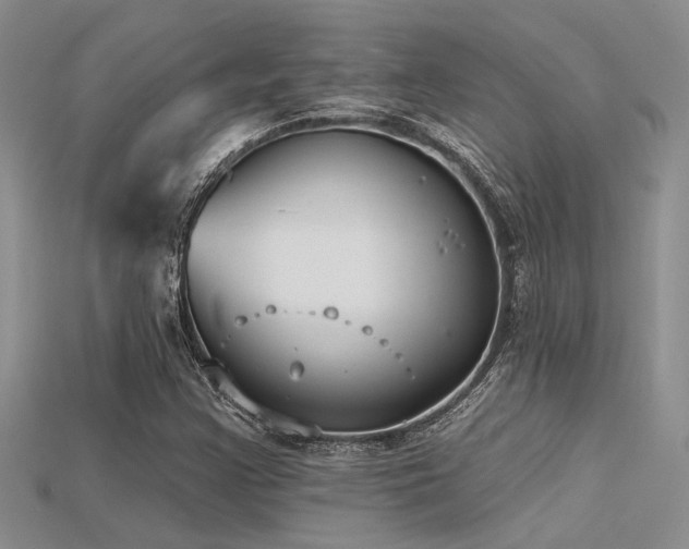 X0000115771355200911131208
