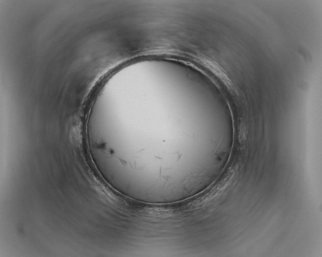 X0000115771356200911131208