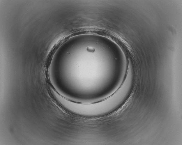 X0000115771357200911131208