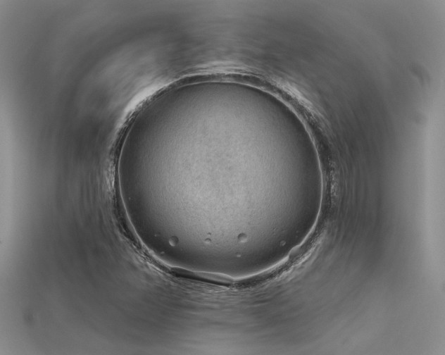 X0000115771358200911131208
