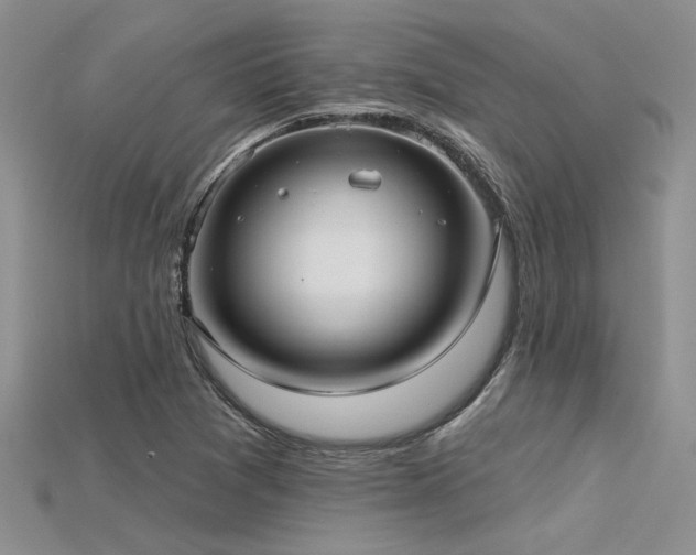 X0000115771361200911131208