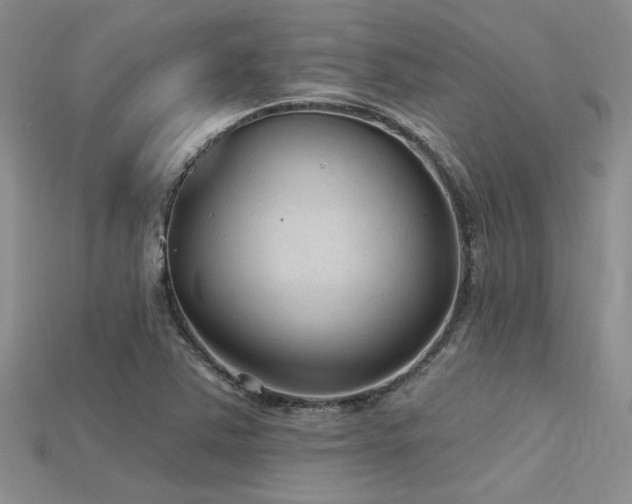X0000115771363200911131208