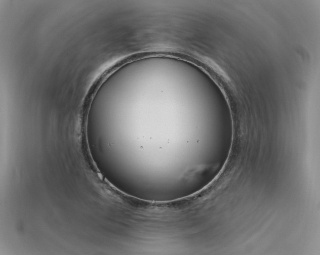 X0000115771364200911131208