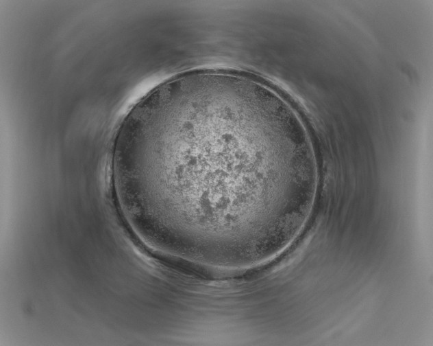 X0000115771367200911131208