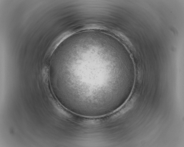 X0000115771369200911131208