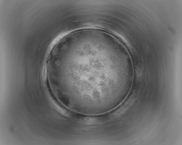 X0000115771371200911131208