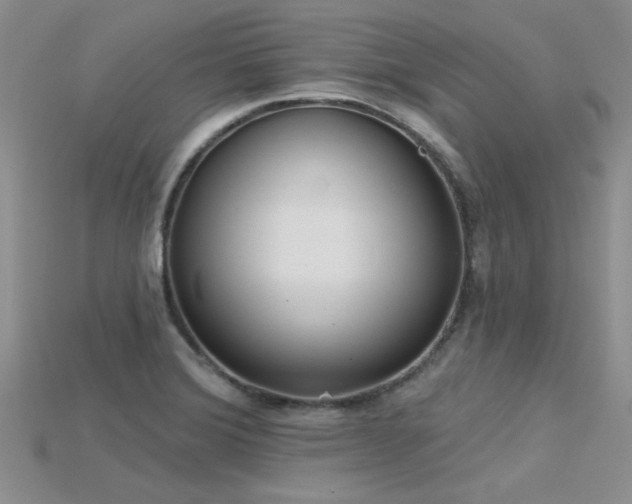 X0000115771372200911131208