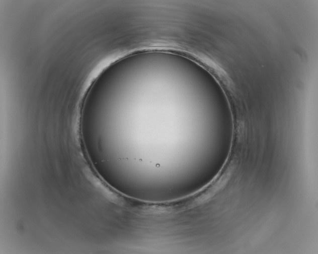 X0000115771374200911131208