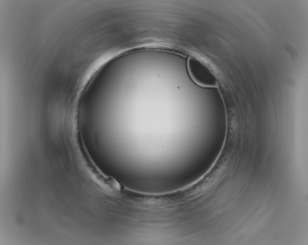 X0000115771375200911131208