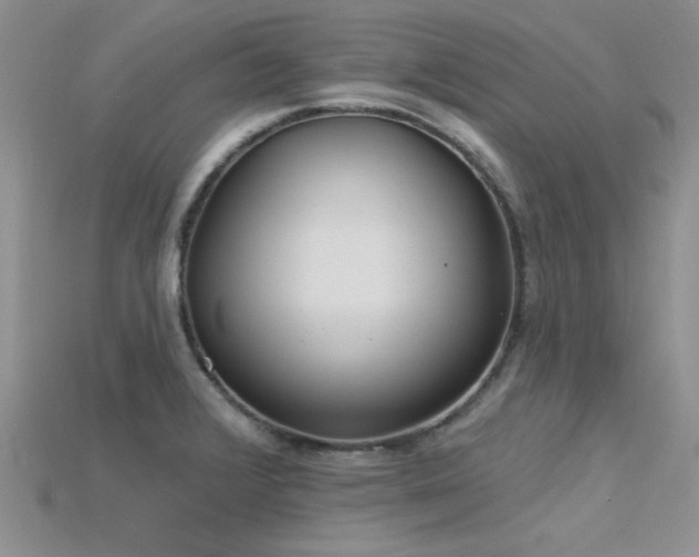 X0000115771376200911131208