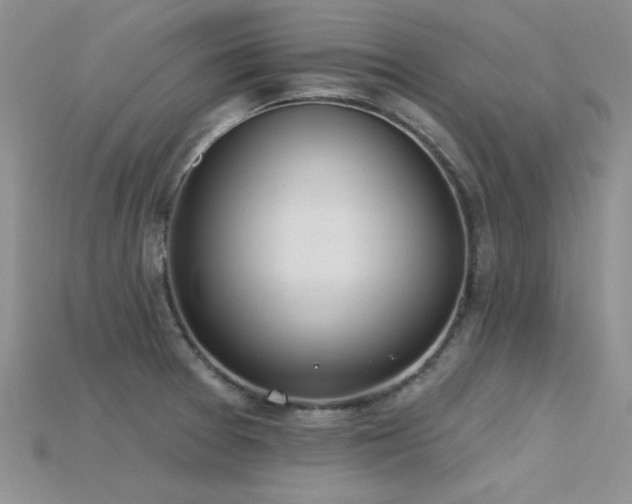X0000115771377200911131208