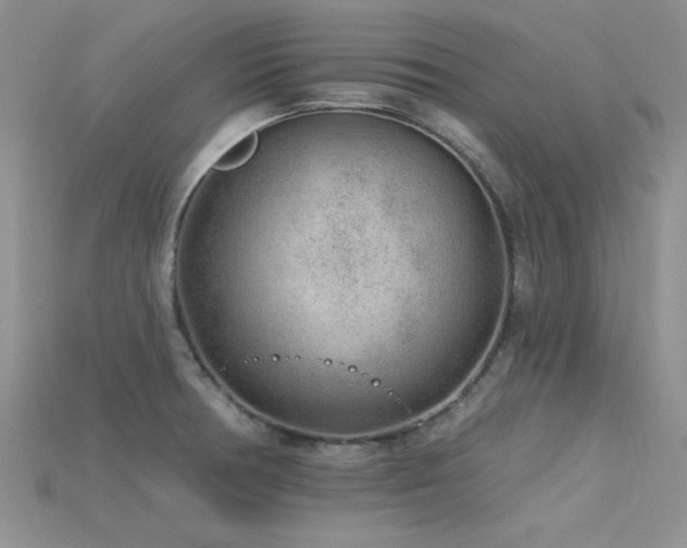 X0000115771378200911131208