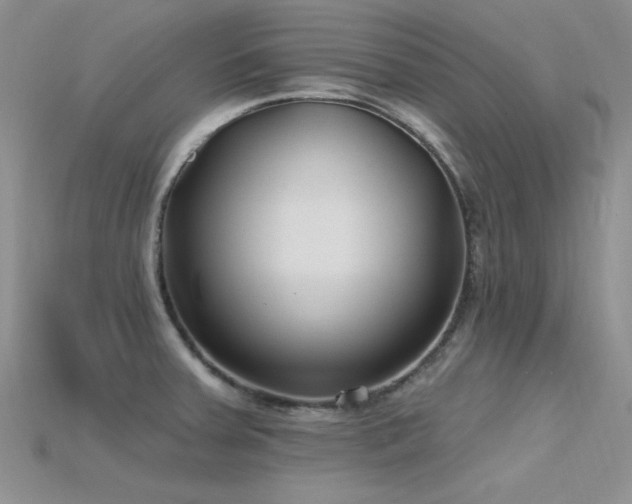 X0000115771379200911131208