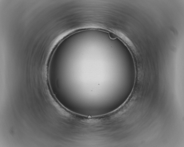 X0000115771380200911131208