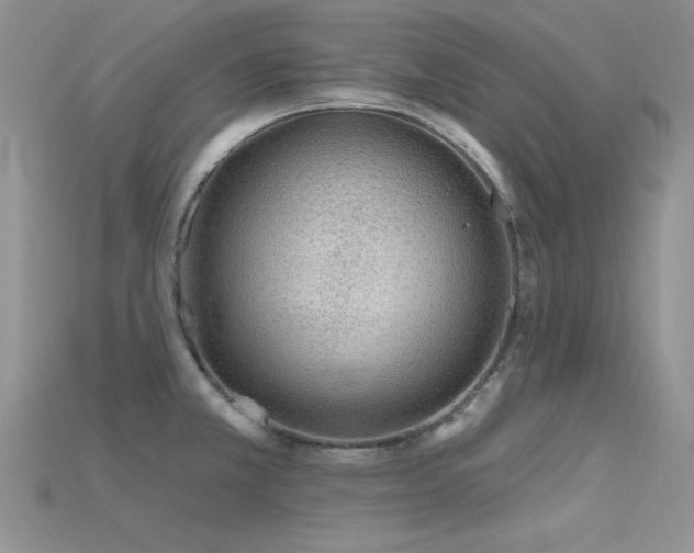 X0000115771381200911131208