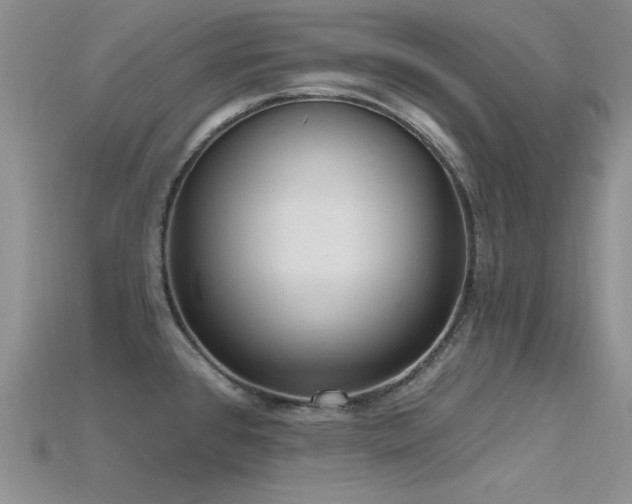 X0000115771384200911131208