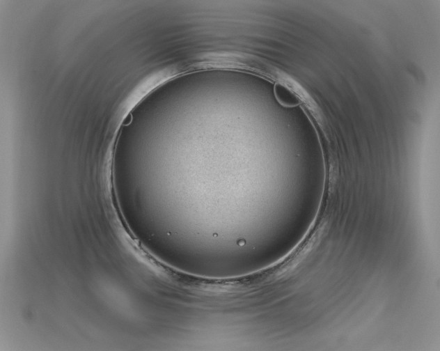 X0000115771386200911131208