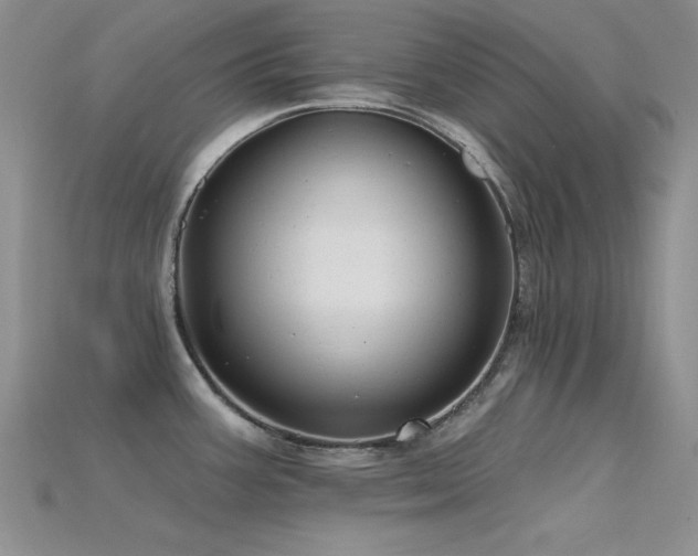 X0000115771387200911131208