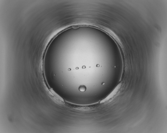 X0000115771388200911131208