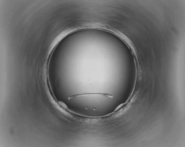 X0000115771389200911131208