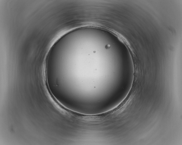 X0000115771391200911131208