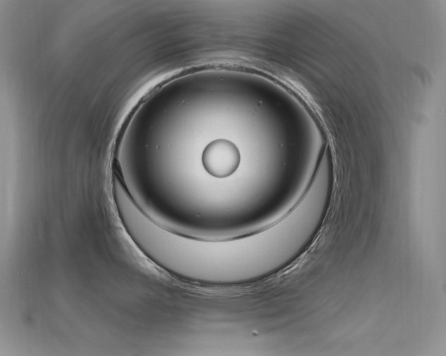 X0000115771392200911131208