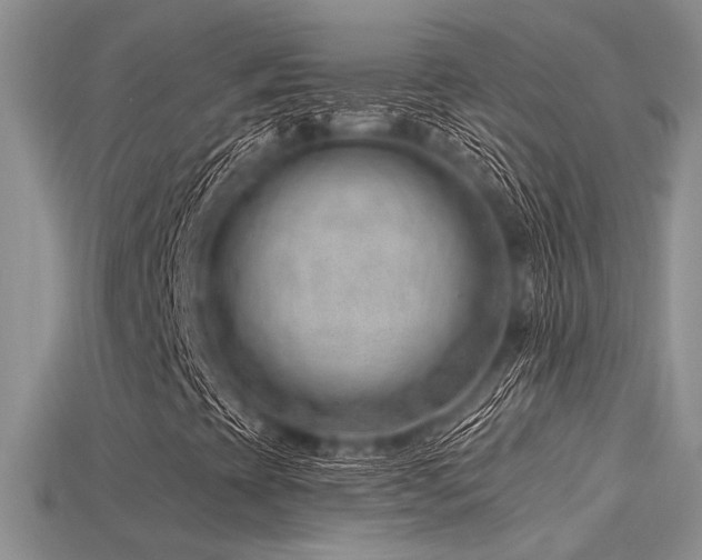 X0000115771393200911131207