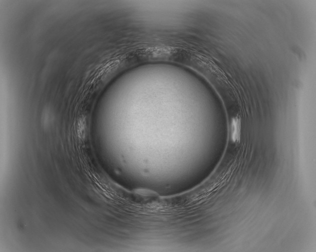 X0000115771395200911131207
