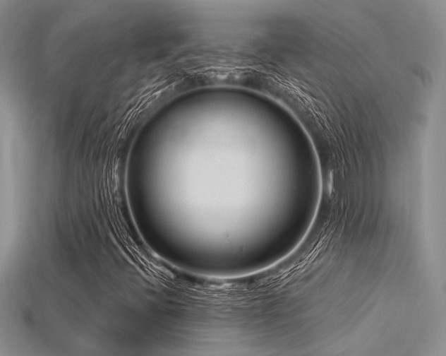 X0000115771396200911131207