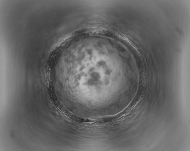 X0000115771399200911131207