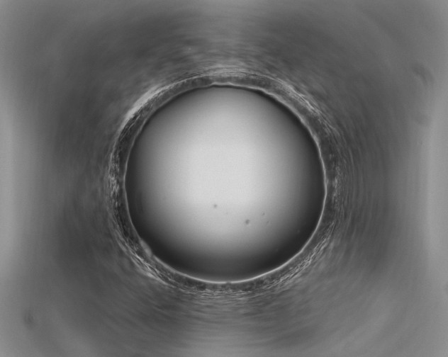 X0000115771400200911131207
