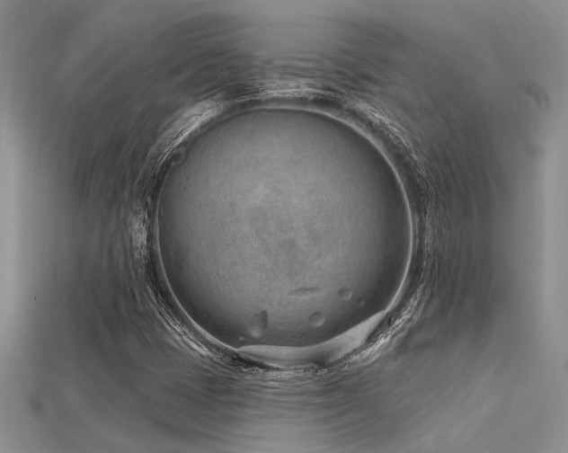 X0000115771401200911131207