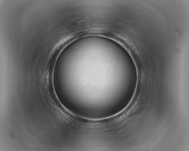 X0000115771402200911131207