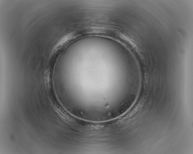 X0000115771403200911131207
