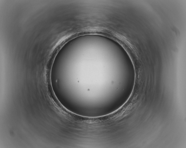X0000115771404200911131207