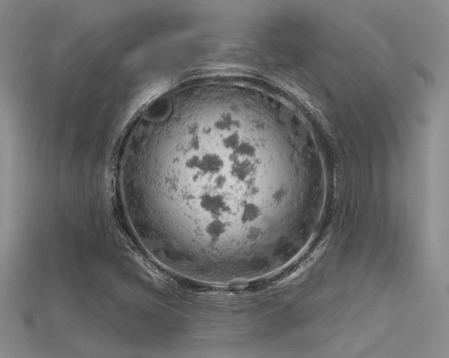 X0000115771405200911131207