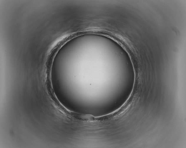 X0000115771406200911131207