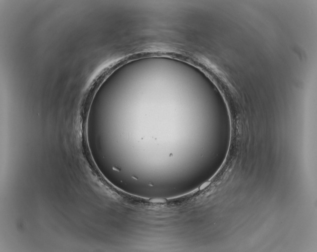 X0000115771408200911131207